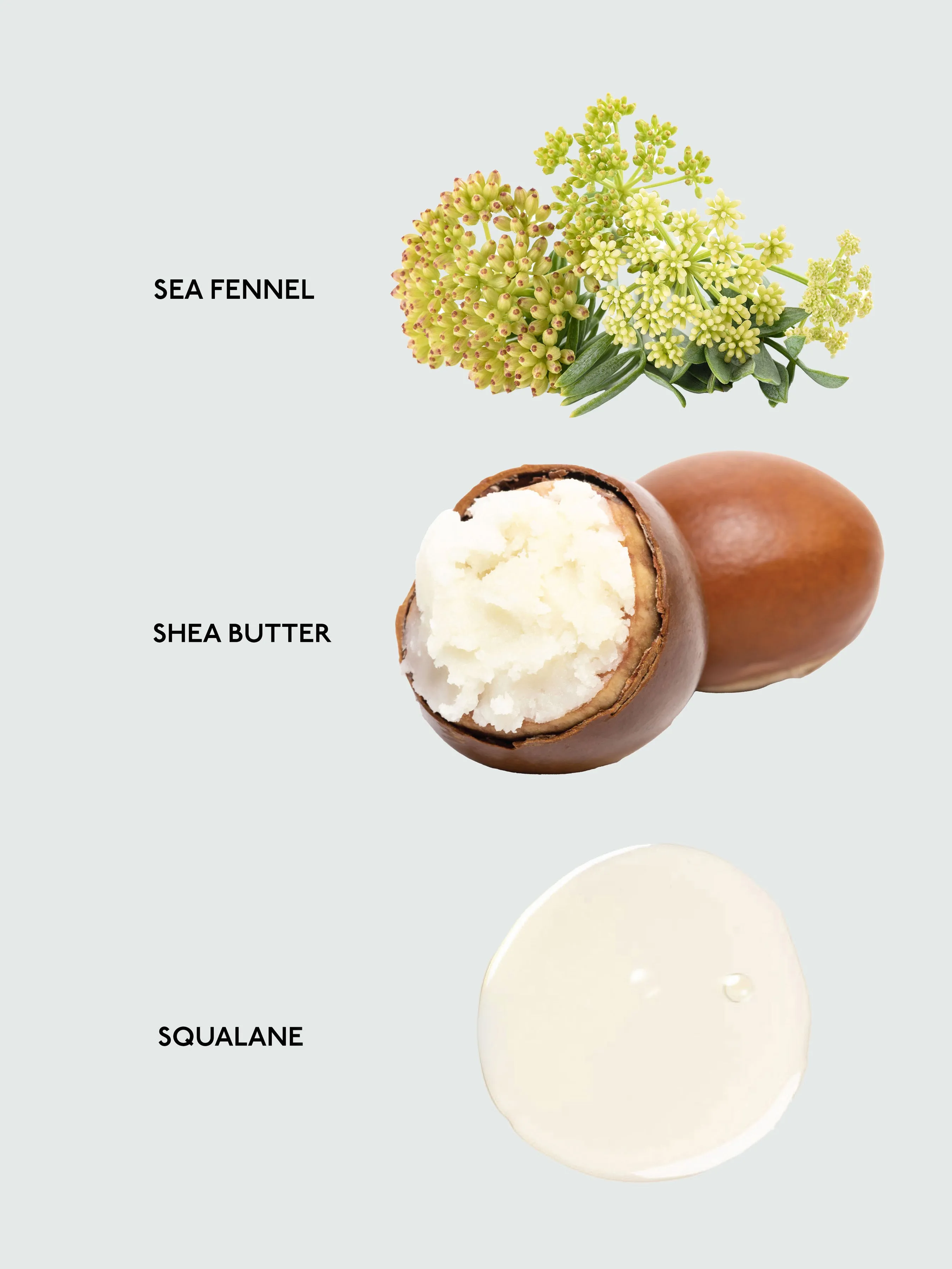 Body Butter