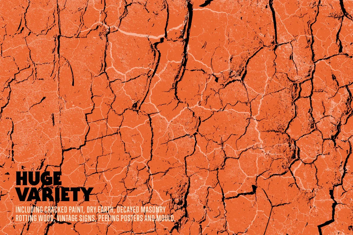 Cracked & Decayed