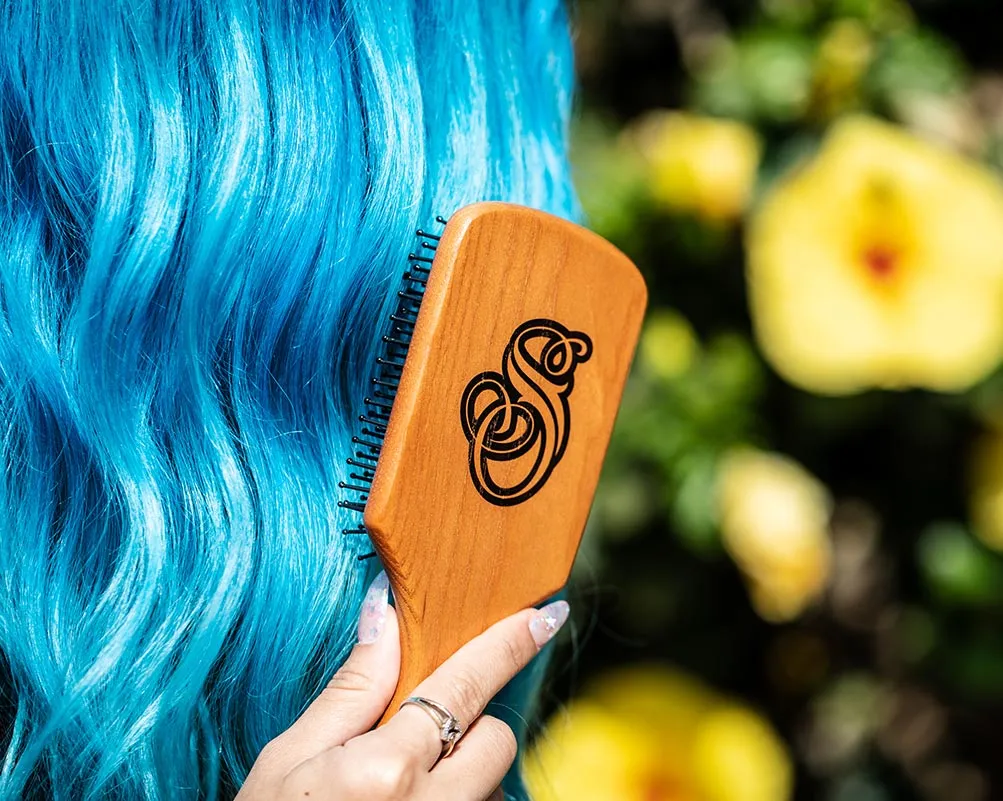 Paddle Brush